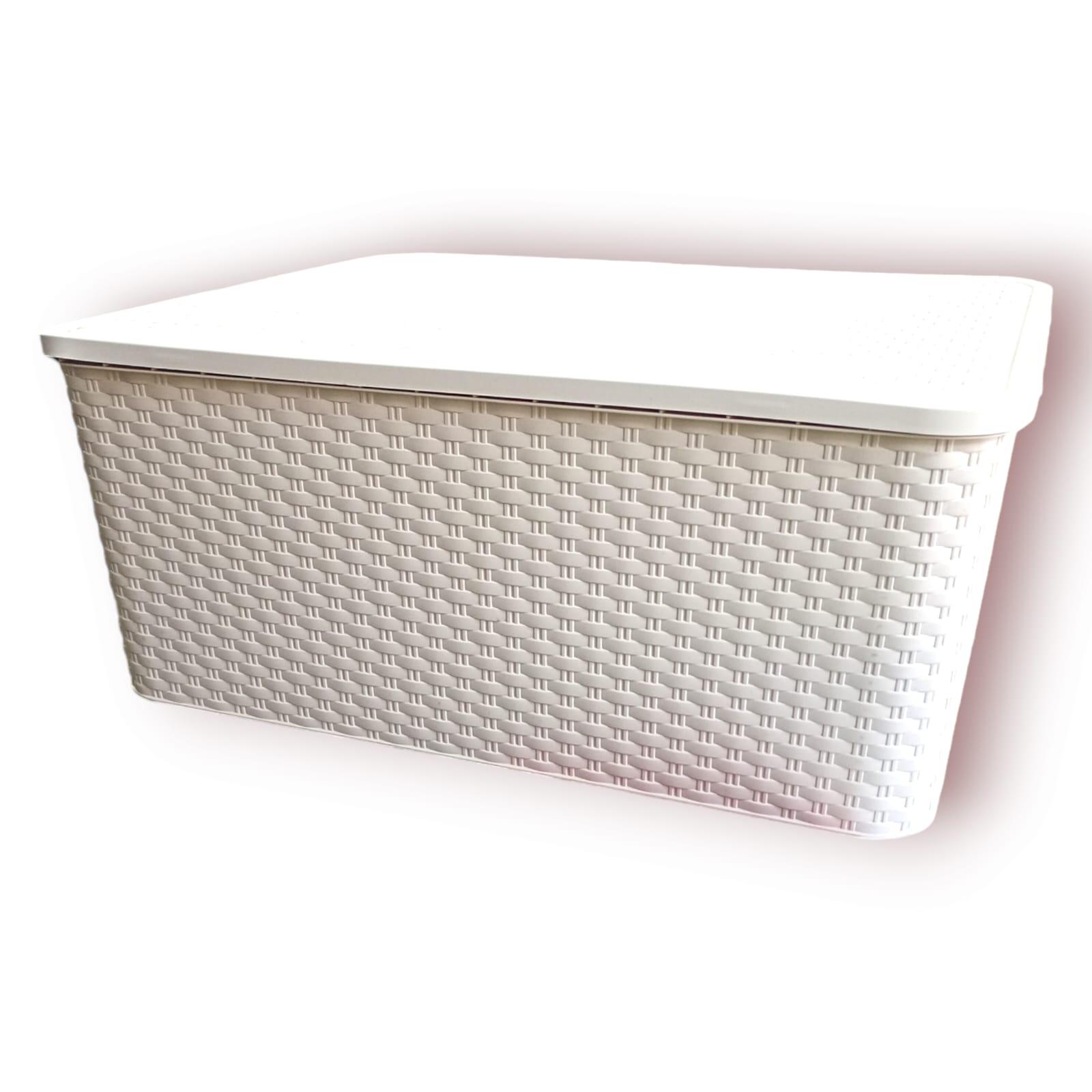 CANASTO RATTAN GIGANTE CON TAPA PLASTICO(58X48X24CM)