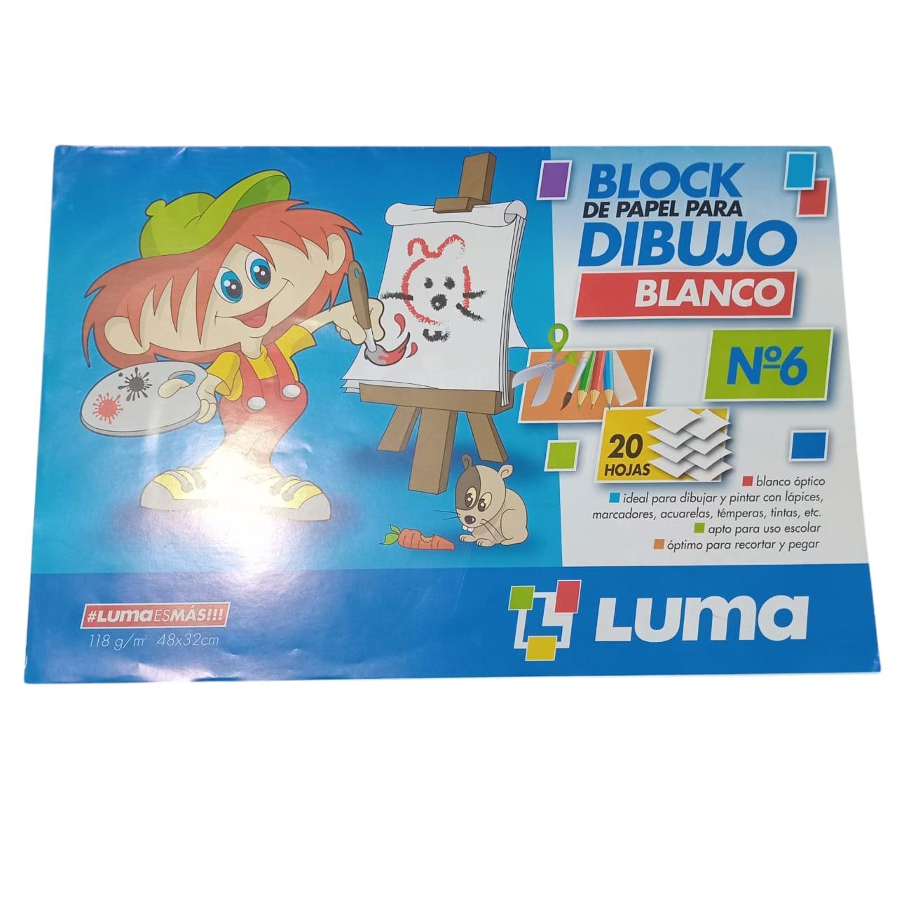 BLOCK DE DIBUJO N6 20 HOJAS BLANCAS LUMA